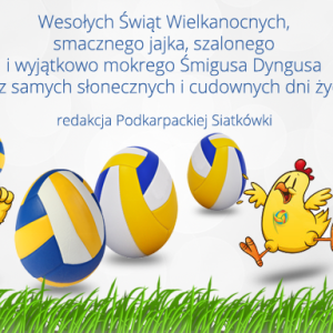 Wesołych Świąt!!!